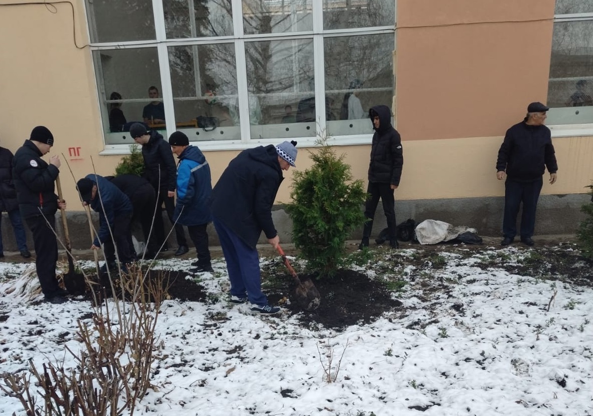 Акция &quot;Сад памяти&quot;.